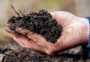 Agricultura, fertilizantes, yara