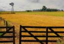 salta, Pyme, campo, Inmobiliario rural, Chubut, alivio fiscal