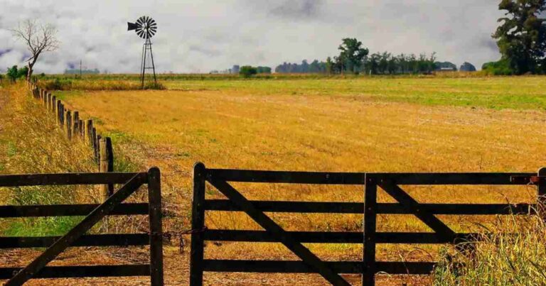 salta, Pyme, campo, Inmobiliario rural, Chubut, alivio fiscal, inmobiliarias rurales