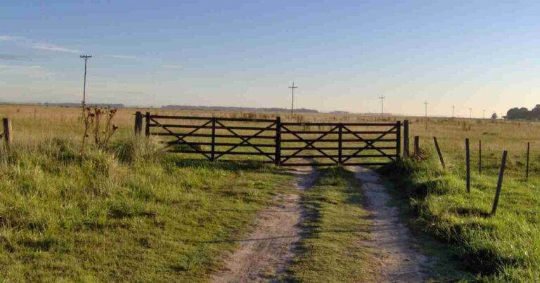 Inmobiliario rural, arrendamientos agrícolas