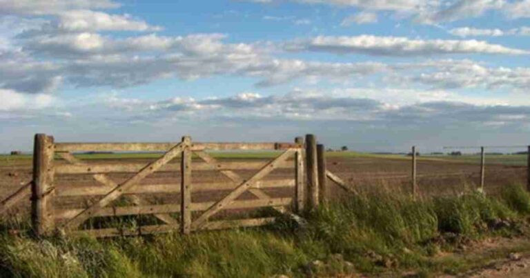 mercado Inmobiliario rural, Carbap