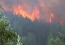 Incendio, Epuyén
