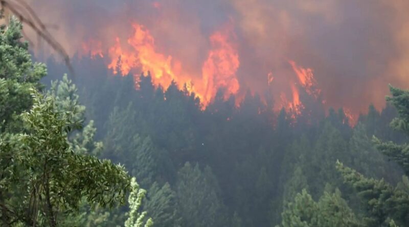 Incendio, Epuyén