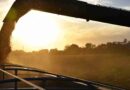 campo, divisas, salta, Pyme, Estados Unidos, Campo, USDA, Banco Mundial, agroindustria