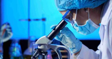 Biotecnología, argentina, productos genéticamente modificados