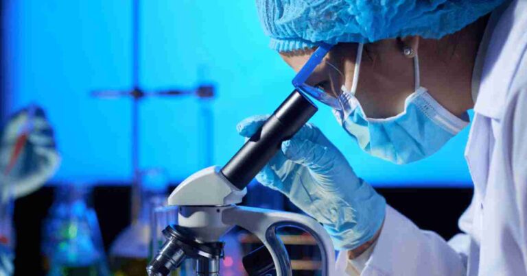 Biotecnología, argentina, productos genéticamente modificados, startups