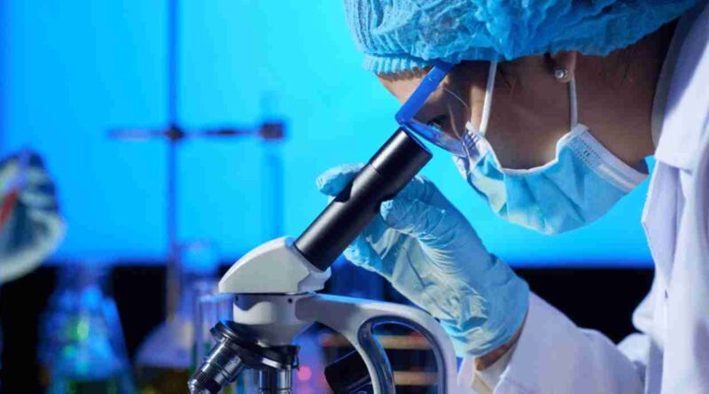 Biotecnología, argentina, productos genéticamente modificados