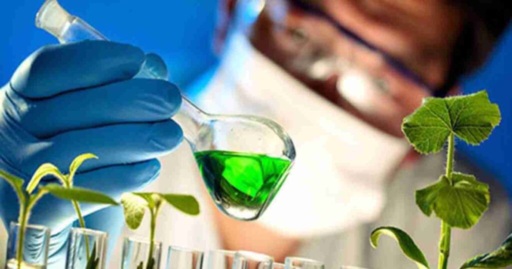 Biotecnología, argentina, productos genéticamente modificados