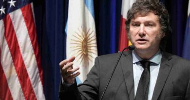 Elon Musk, Javier Milei, Dólar, Economía