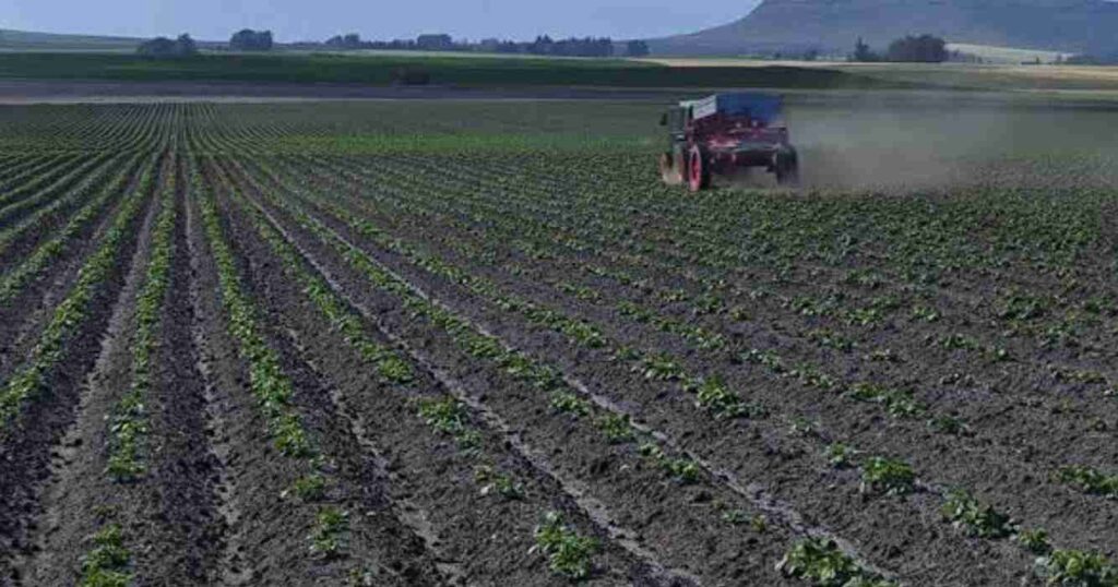 Agricultura, plagas