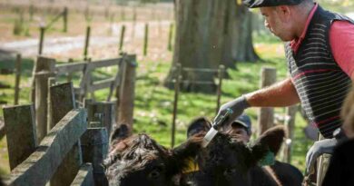 Ganadería, formosa, rabia paresiante