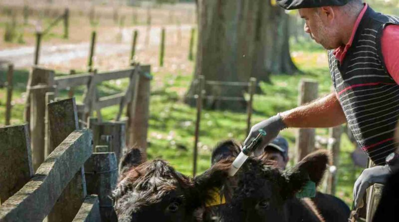 Ganadería, formosa, rabia paresiante