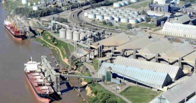 Exportaciones, embarques, trigo