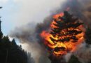 Incendios, Córdoba, clima, Epuyén, El Bolsón