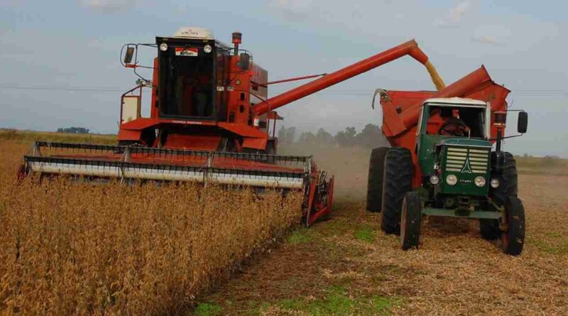 Campaña gruesa, maíz, soja