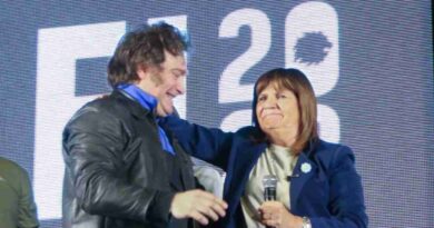 Reforma Laboral, Javier Milei, Patricia Bullrich, Seguridad Nacional