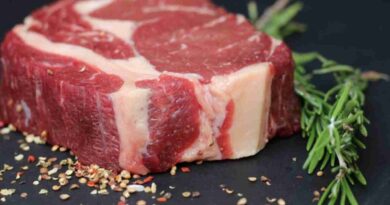 Mundial de Carnes, carne, senasa, CAMPO, Brasil