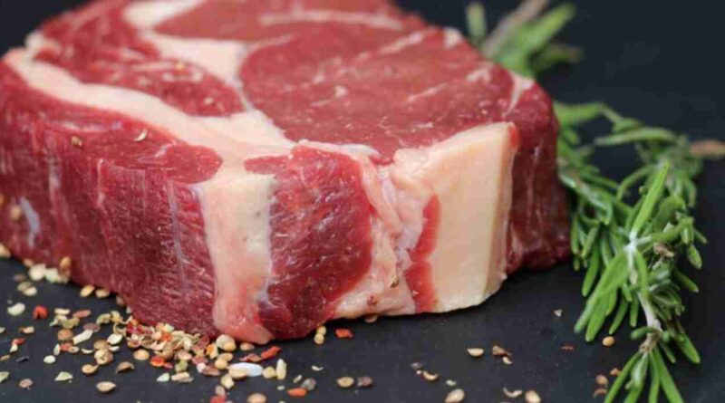 Mundial de Carnes, carne, senasa, CAMPO, Brasil