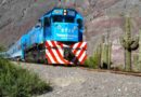 Belgrano Cargas, trenes