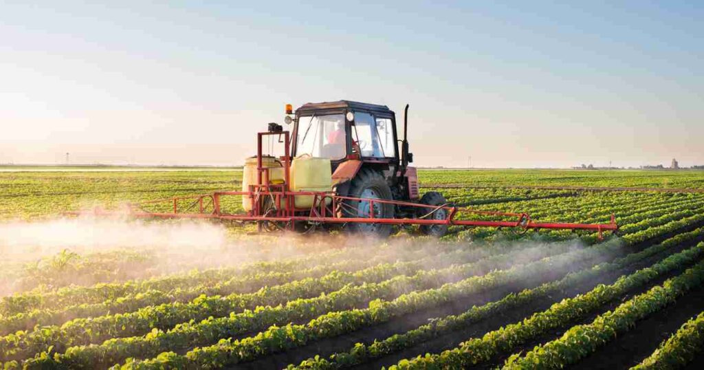 Agricultura, ecoganic