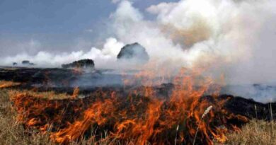 Incendios, corrientes, córdoba