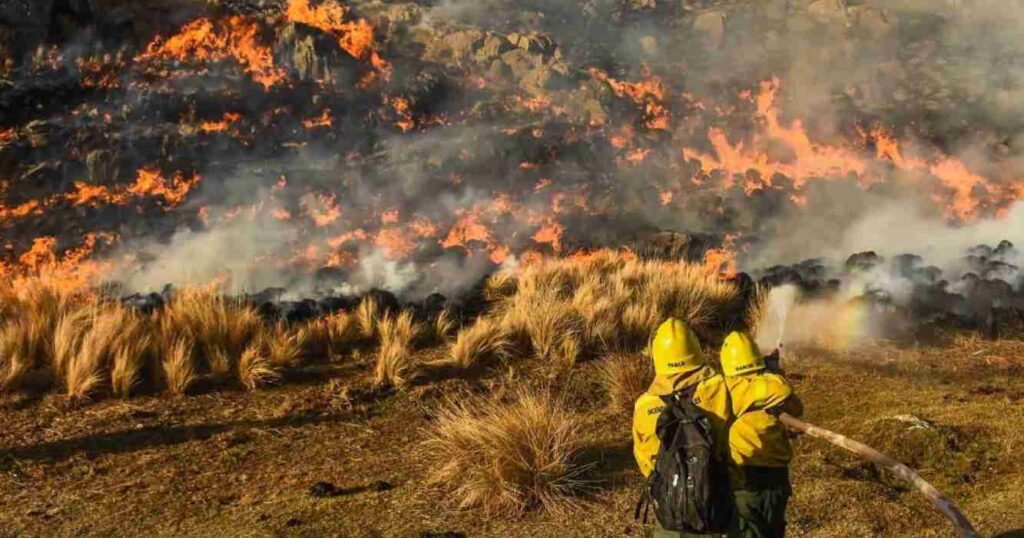 Incendios, corrientes