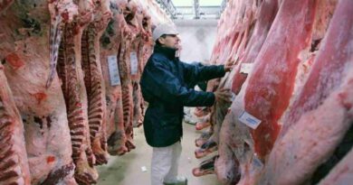 Producción de carne, pollo, estados unidos