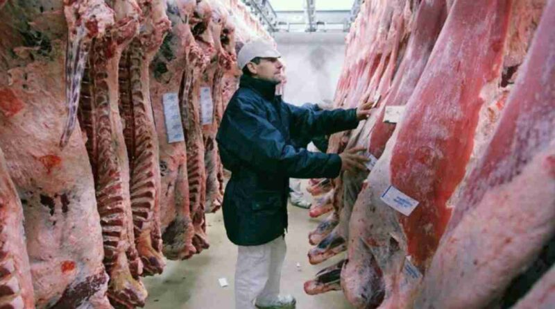 Producción de carne, pollo, estados unidos