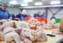 Producción de carne, pollo, ganadería, Brasil, carne aviar