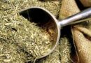 Yerba mate, yerba