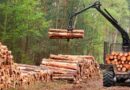 Industria forestal, maquinaria forestal