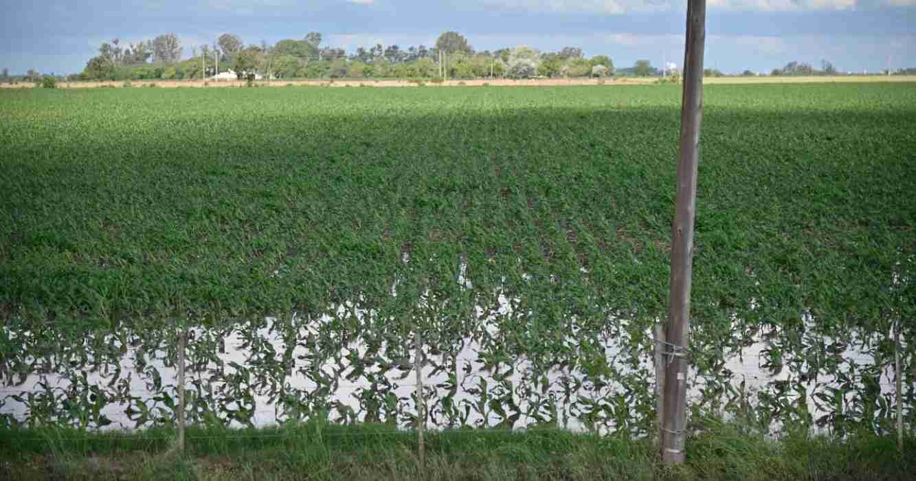 De la sequía a las inundaciones: el campo ahora pide que cesen las ...