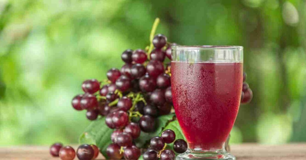 Mendoza, San Juan, cosecha, vino