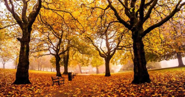 Otoño, clima, lluvias