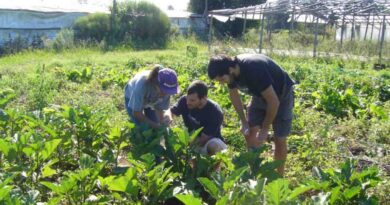 Agricultura