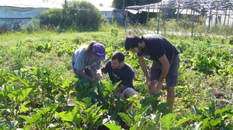 Agricultura