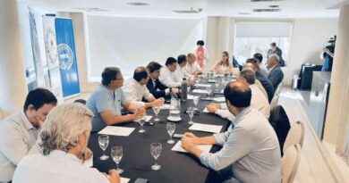 Mesa de Enlace
