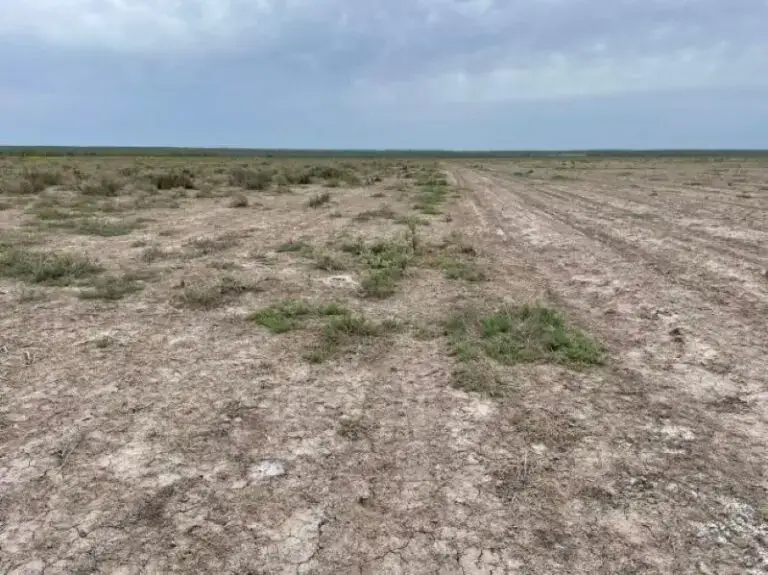 La pampa
