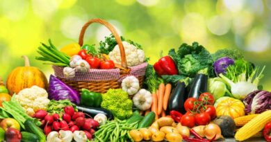 Exportaciones, hortalizas, frutas y hortalizas, vegetal