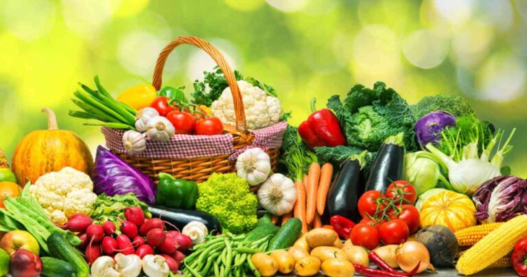 Exportaciones, hortalizas, frutas y hortalizas, vegetal