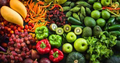 Exportaciones, hortalizas