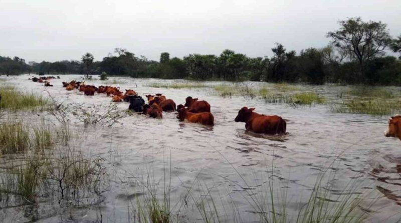 Inundaciones, campo, Buenos Aires, lluvias