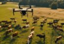 Ganadería, dron, aviación