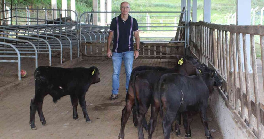 Ganadería, Angus