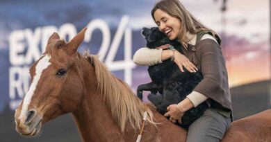 Ailín Wegrzyn, CABALLOS