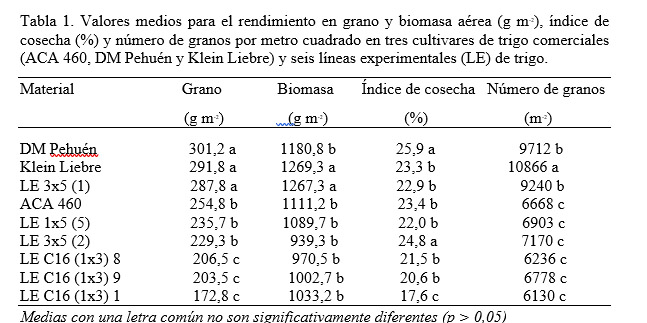 trigo