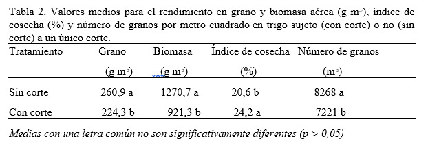 trigo