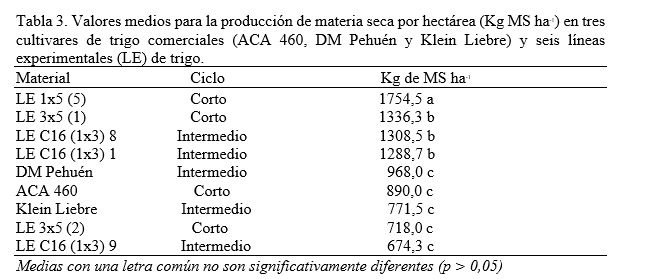 trigo