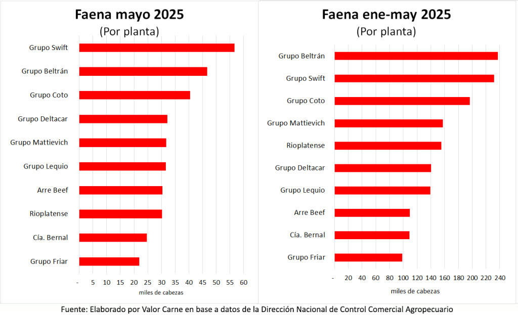 Ganadería, faena