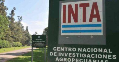 INTA, reestructuración